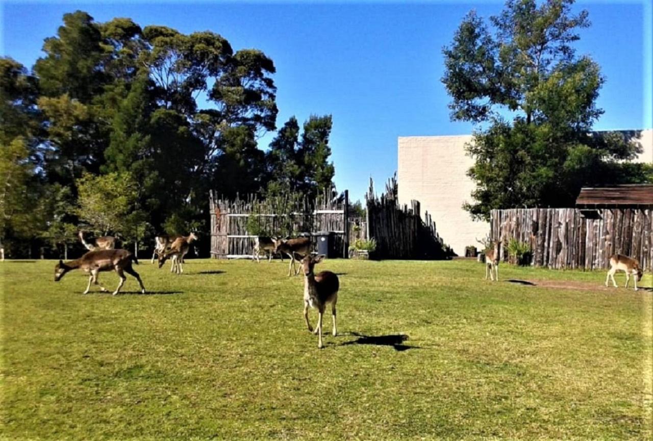 Green Hills Forest Lodge The Crags Εξωτερικό φωτογραφία