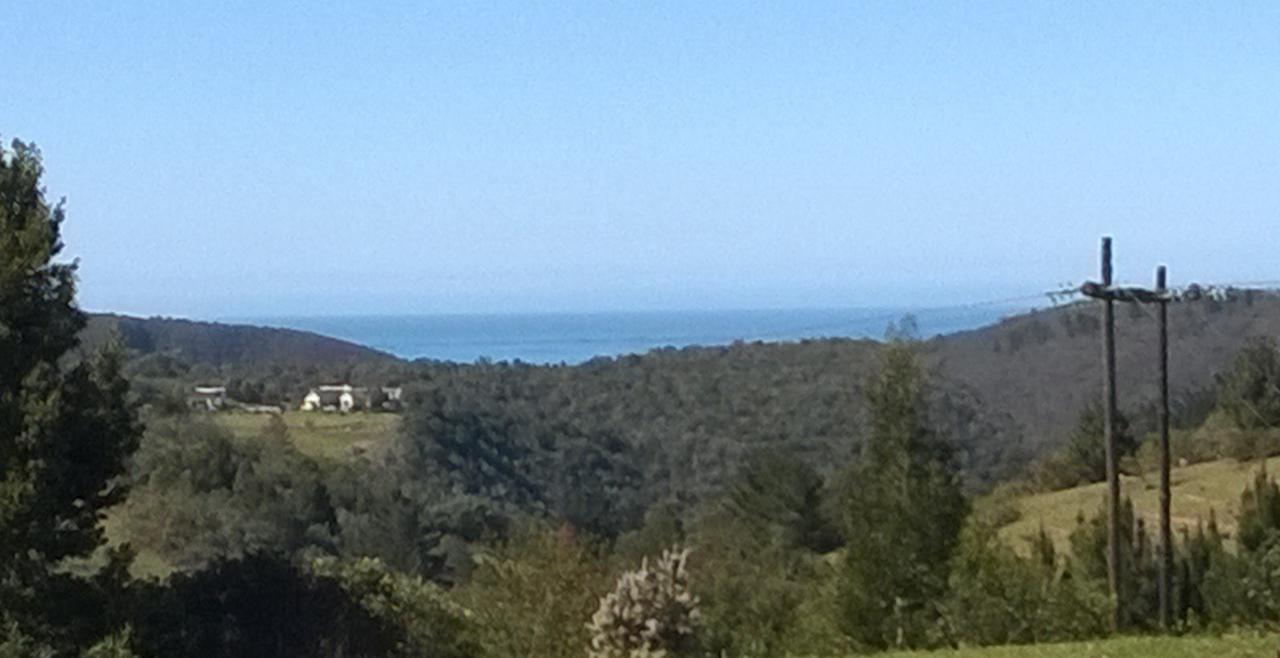 Green Hills Forest Lodge The Crags Εξωτερικό φωτογραφία